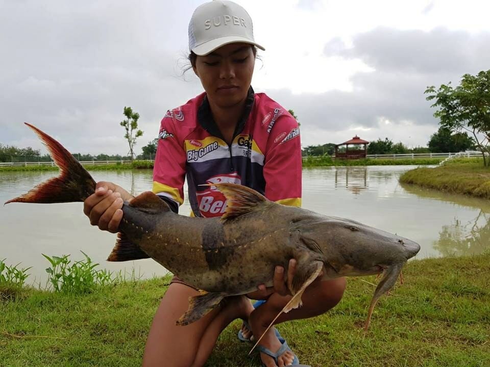 Goonch catfish caught in Thailand at Leks Fishing Park