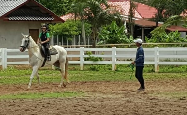horse-riding-lessons-school-udon-thani