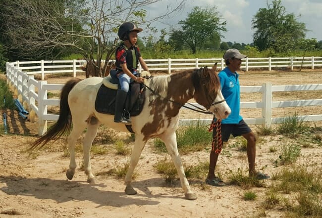 kids-pony-rides-udon-thani