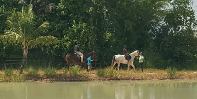 lead-rein-pony-rides-thailand