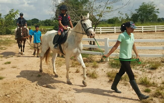 pony-rides-udon-thani