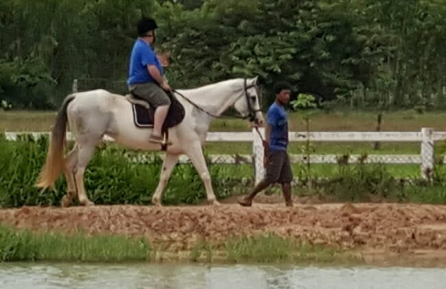 thailand-pony-trecking