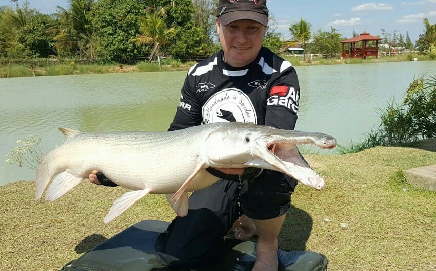 Aligator Gar - Fishing Holiday in Thailand