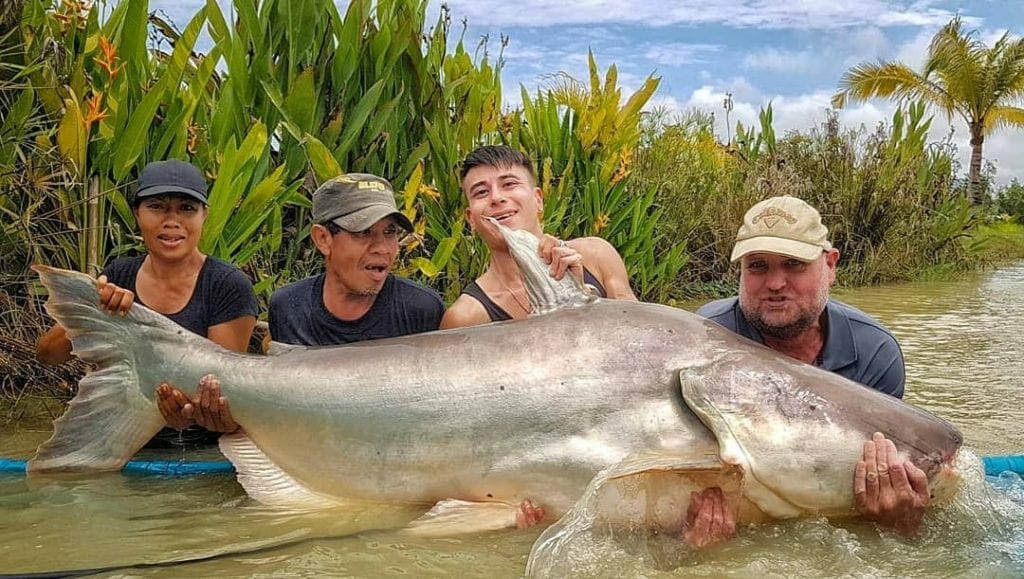 Giant Mekong Catfish Fishing Holiday in Thailand