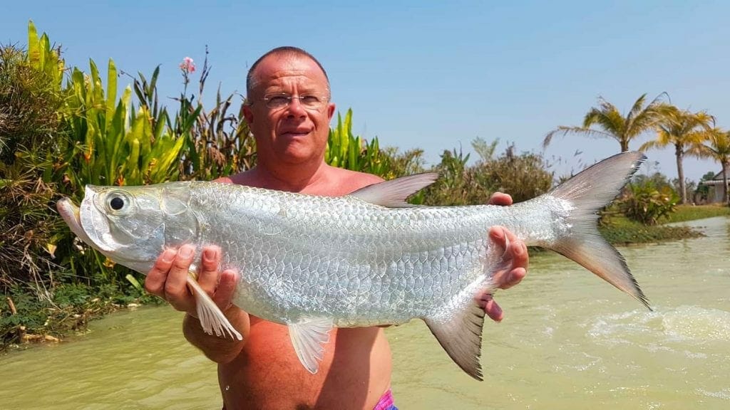 Tarpon Fishing In Thailand