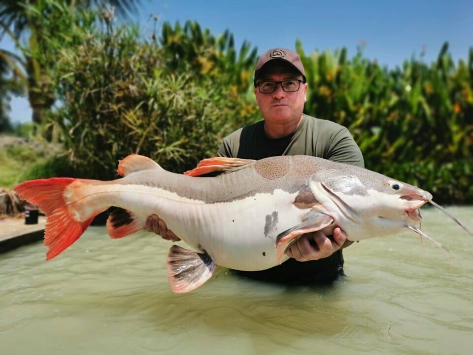 fishing for giant catfish in thailand