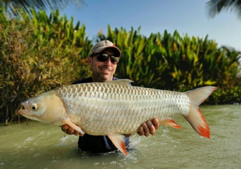 Hoven's Mad Barb Carp Fishing in Thailand