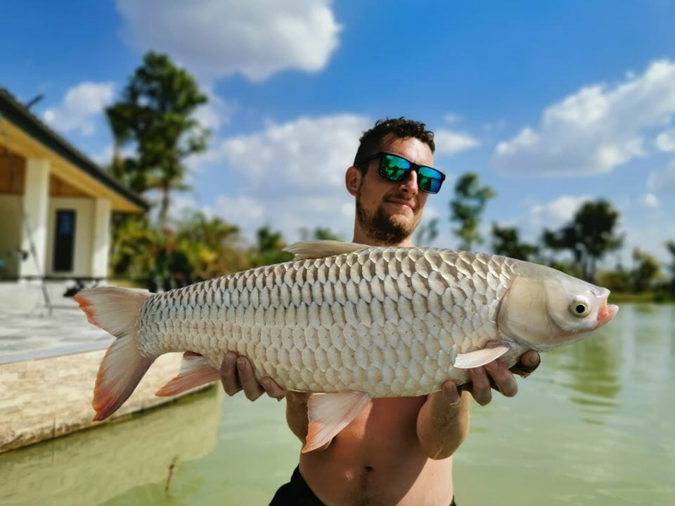 exotic fish in thailand