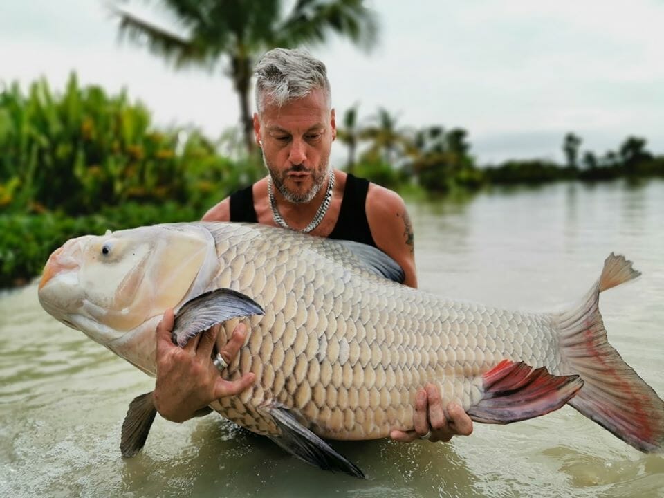 Giant Siamese Carp Thailand - Fishing in Thailand