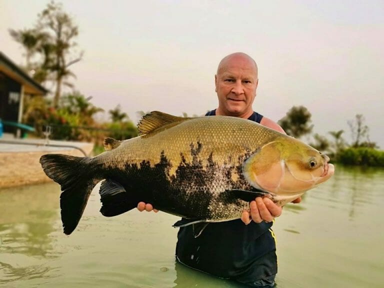 Fishing for Giant Tambaqui in Thailand