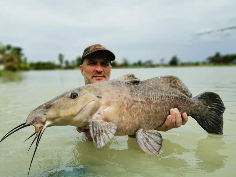 Fishing for Giraffe Catfish at Lek's Fishing Lake Udon Thani