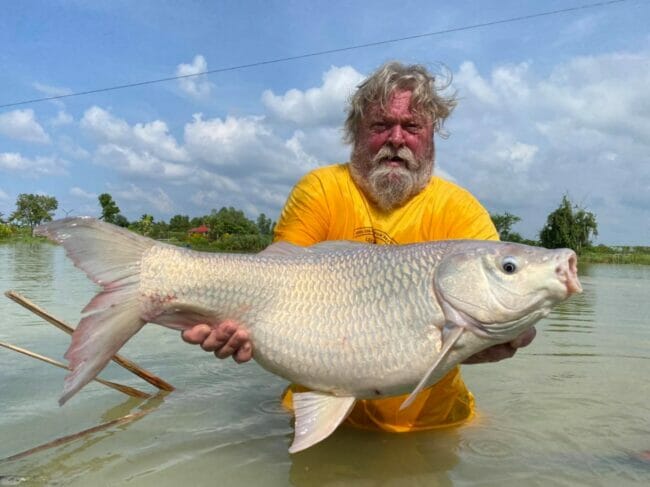 Indian Carp - Pla Yeesok India - Labeo rohita