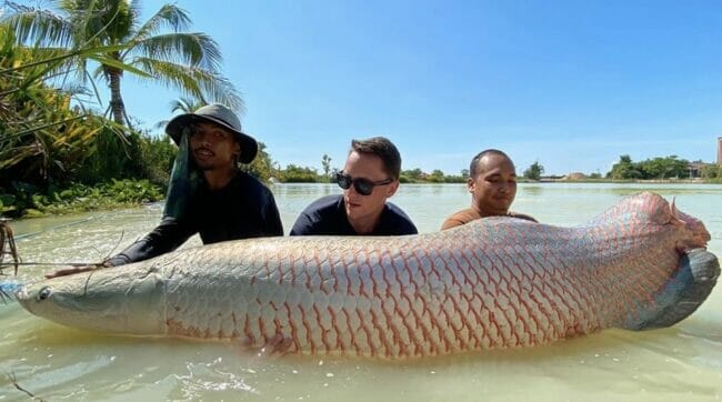 arapaima fishing park thailand fishing for arapaima