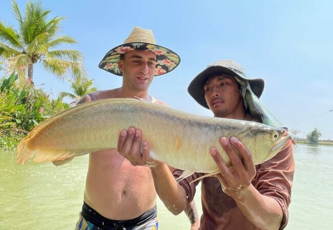 fishing arowana thailand