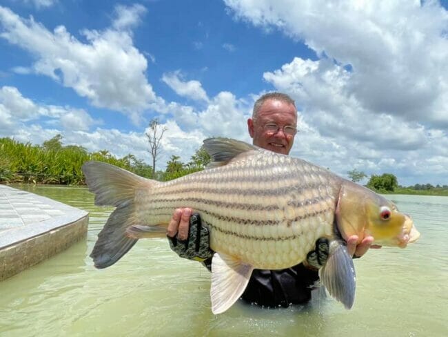 90+ Stocked Thai Freshwater Fish Species Thailand