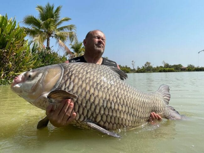 90+ Stocked Thai Freshwater Fish Species Thailand