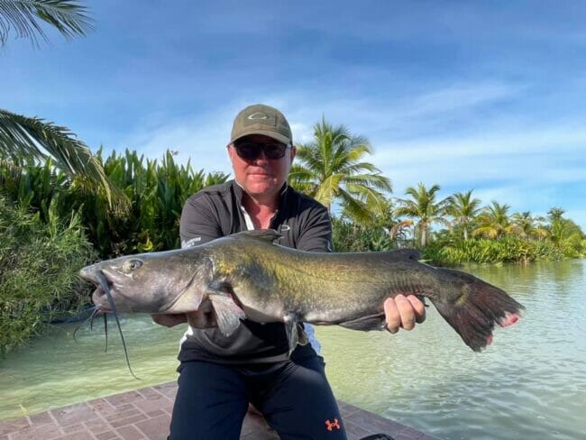 North American Channel Catfish thailand