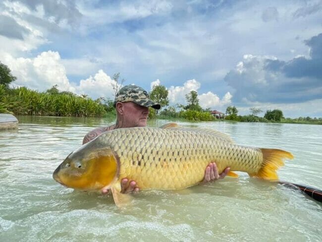 big common carp fishing thailand