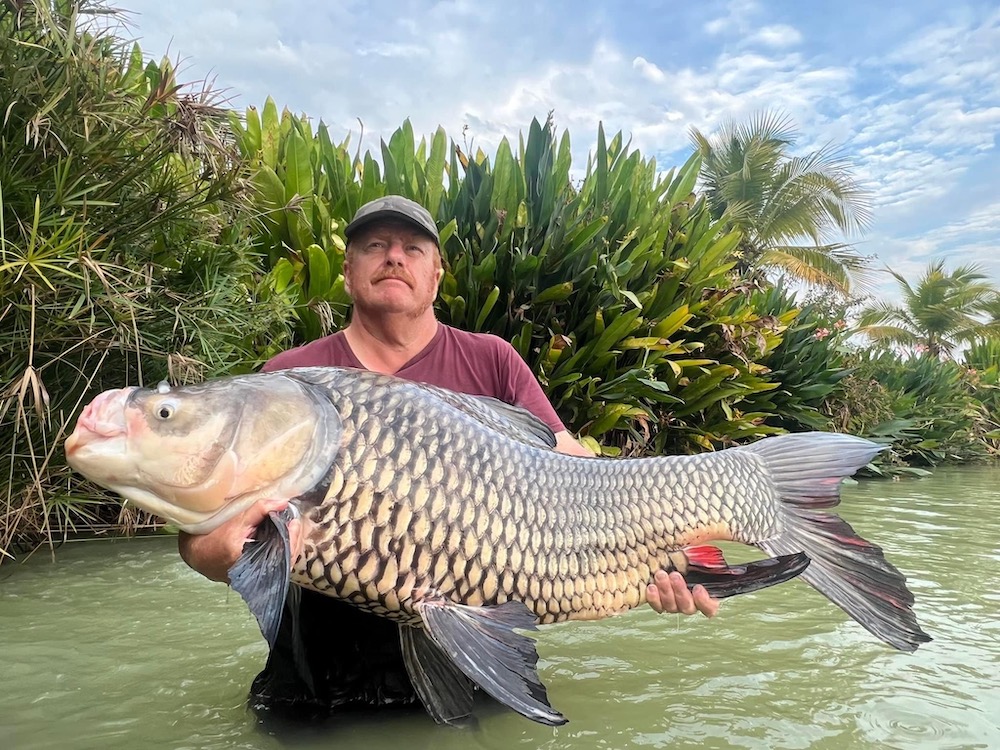 giant siamese carp fishing holiday thailand