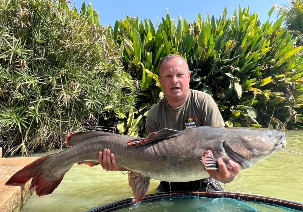 Asian Redtail Catfish Fishing in Thailand