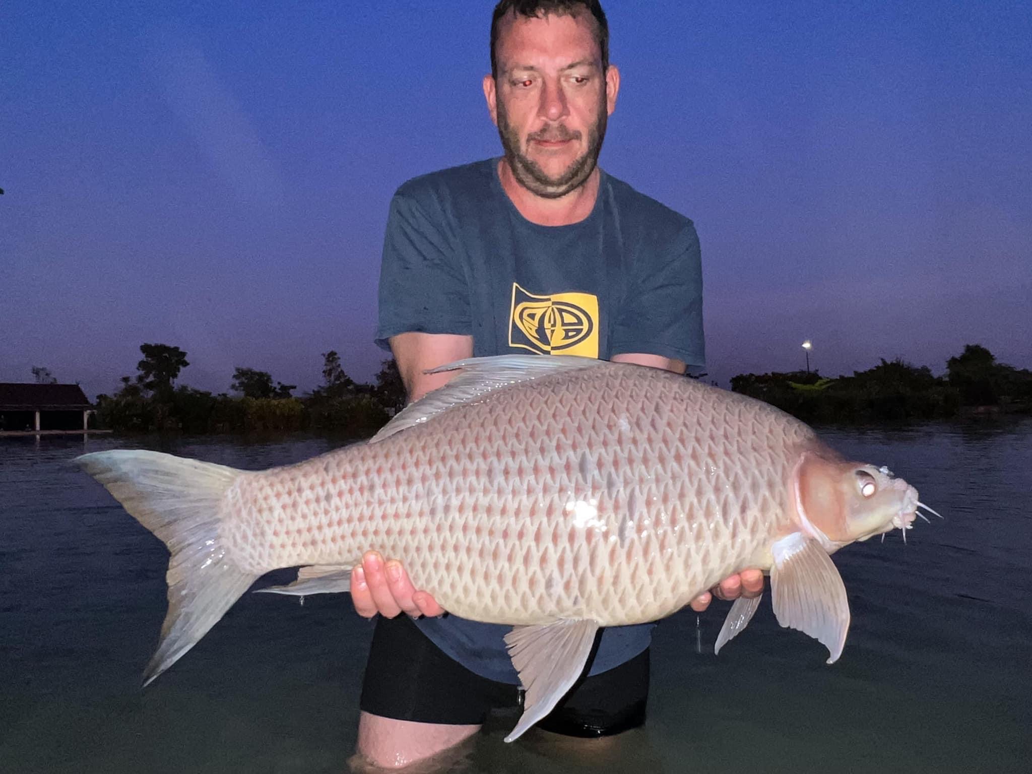 Black Shark Minnow Carp thailand fishing