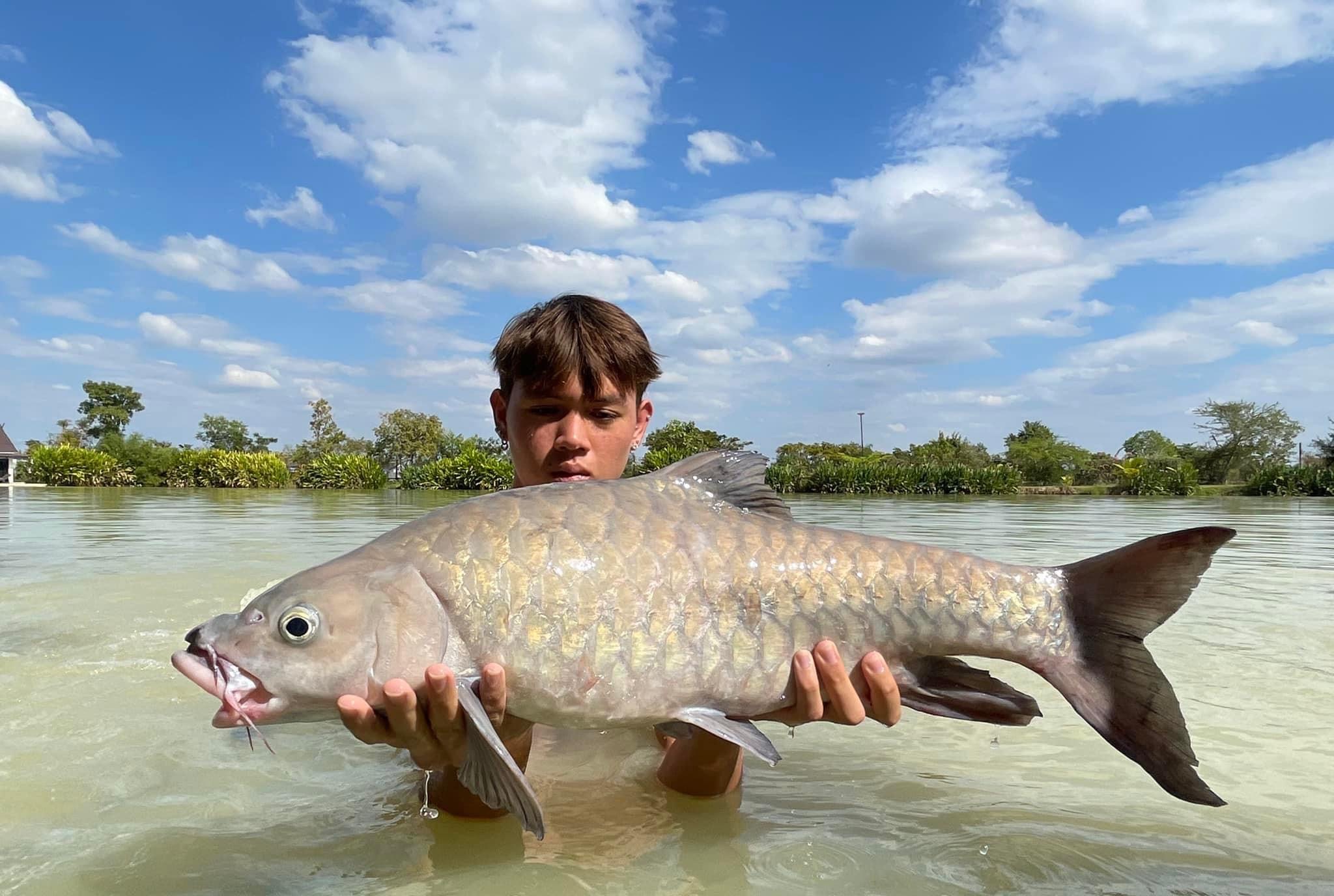 90+ Stocked Thai Freshwater Fish Species Thailand