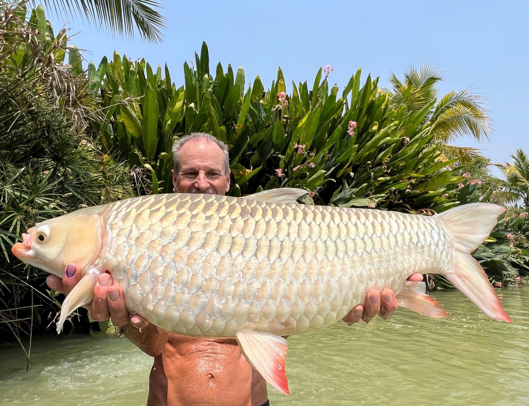 Hoven Mad Barb Carp fishing thailand