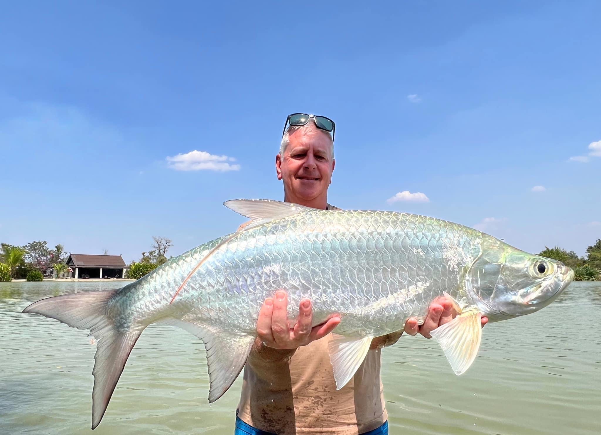 atlantic tarpon thailand