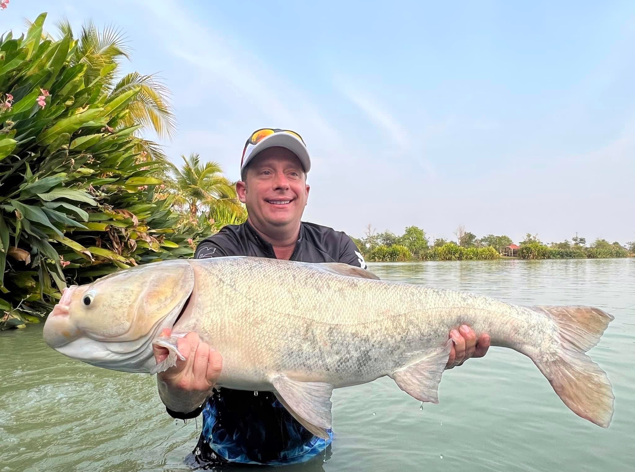 chinese big head carp thailand