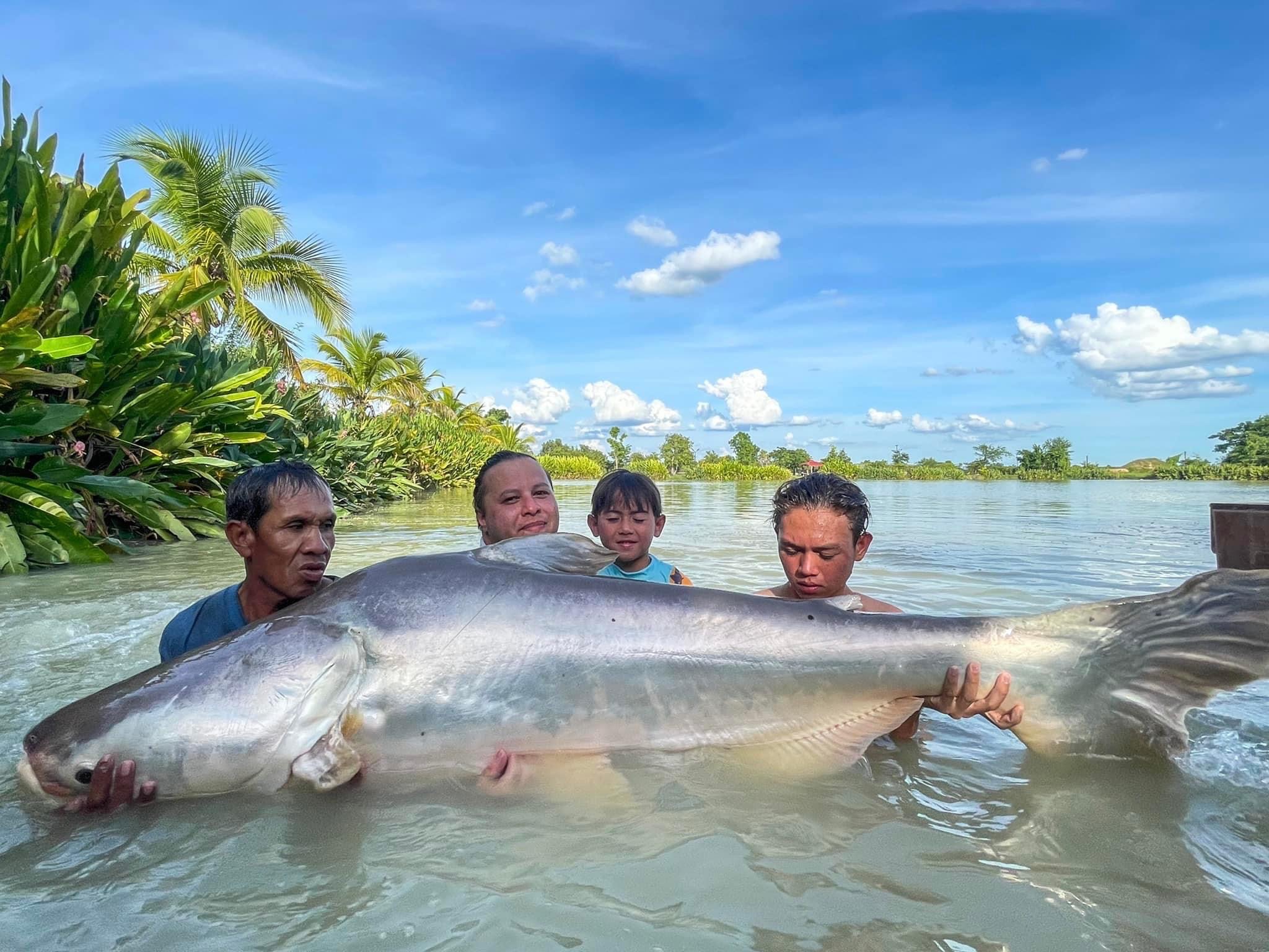 giant mekong catfish fishing thailand holiday