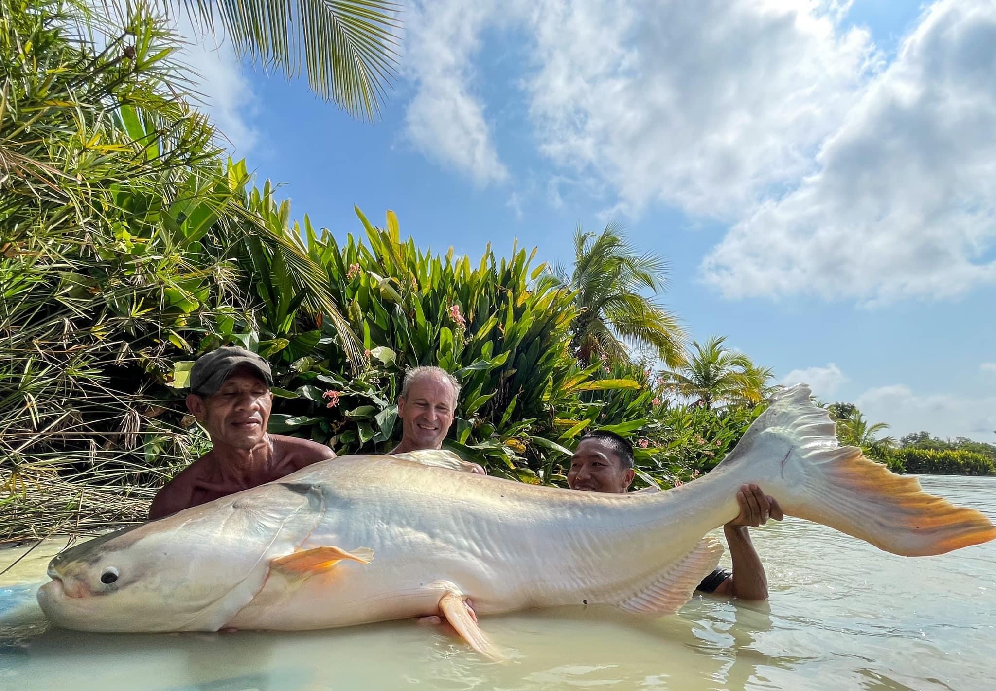 giant mekong catfish fishing thailand udon thani holiday