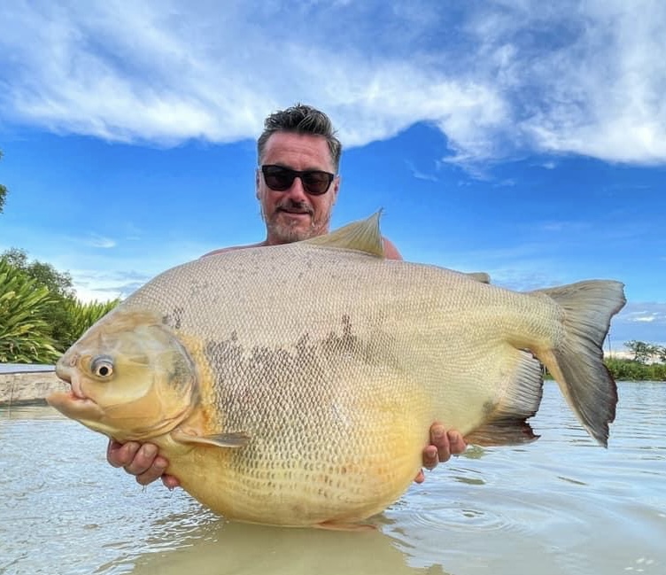 giant pacu fishing resort in thailand