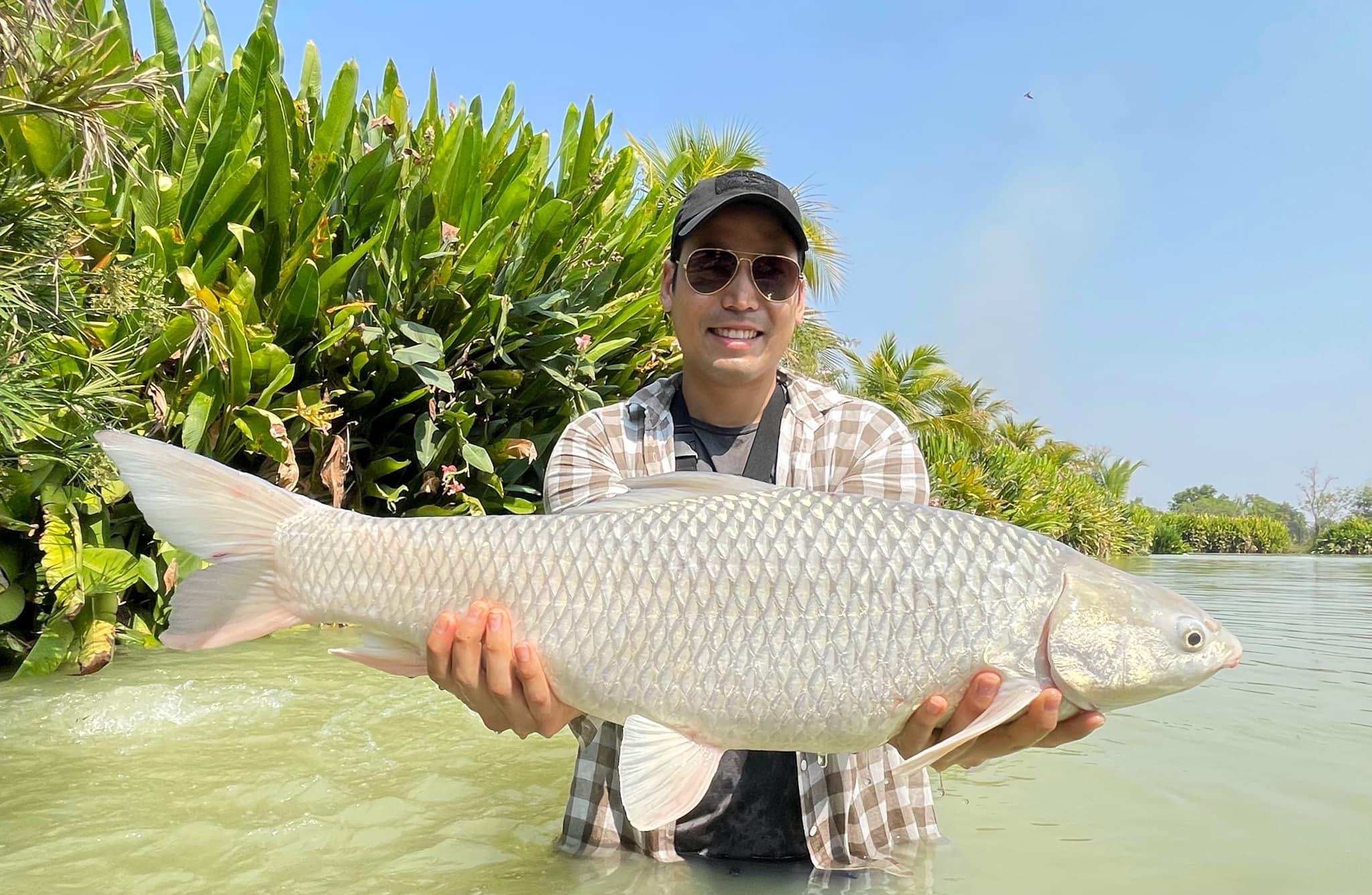 mrigal carp fishing thailand