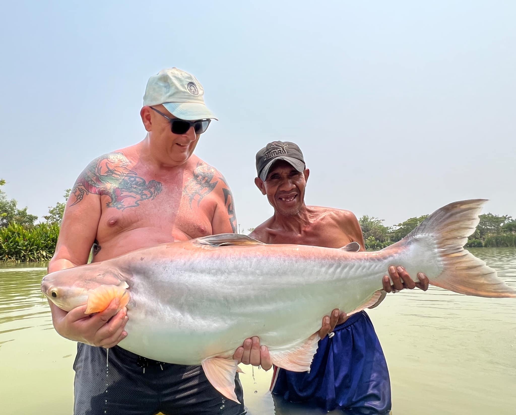 striped catfish