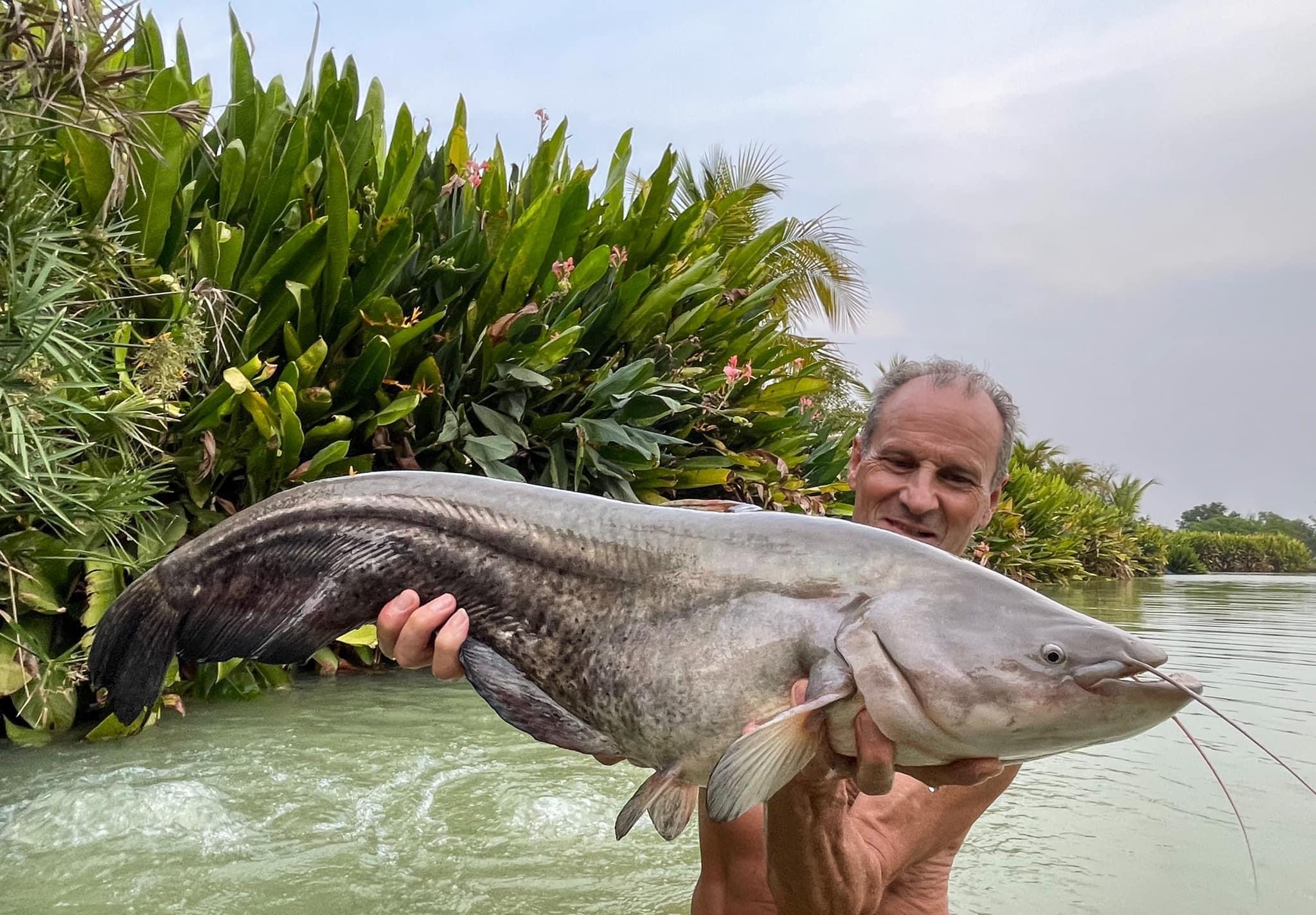 Wallagonia Micropogon fishing Thailand