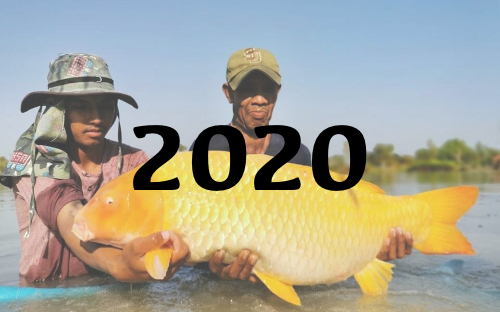 2020