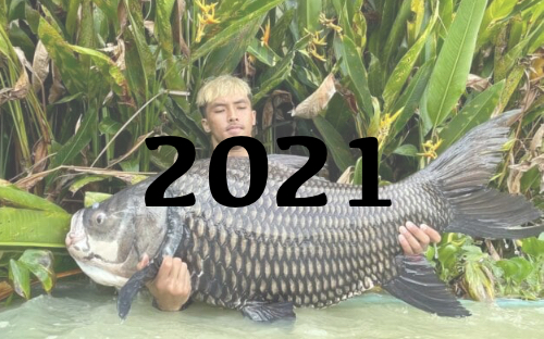 2021