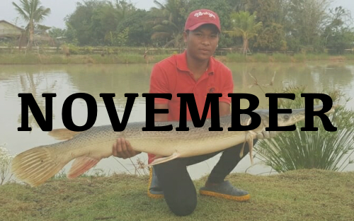 November-2016