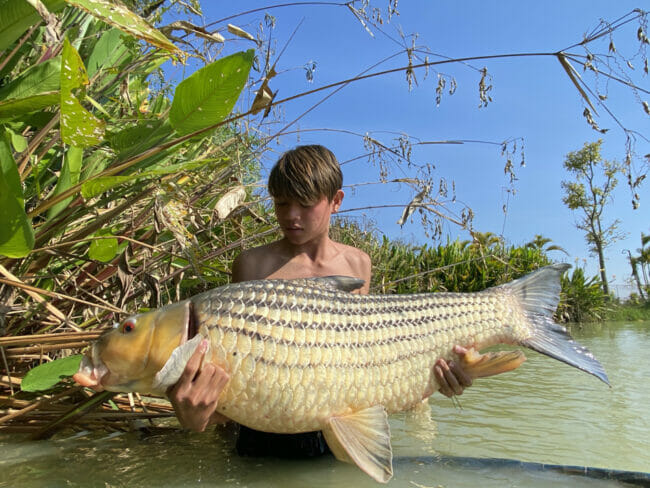 catch big juliens carp thailand