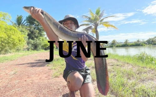 catch report june 2021 1