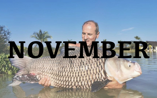 November 2019