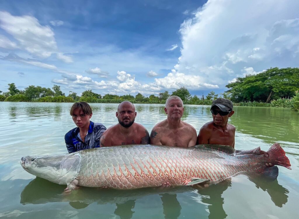 Arapaima