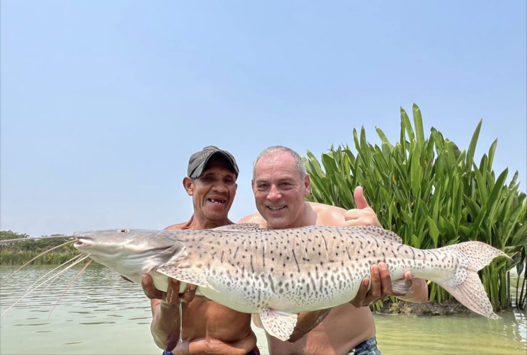 Brazilian Pintado Spotted Sorubim Catfish