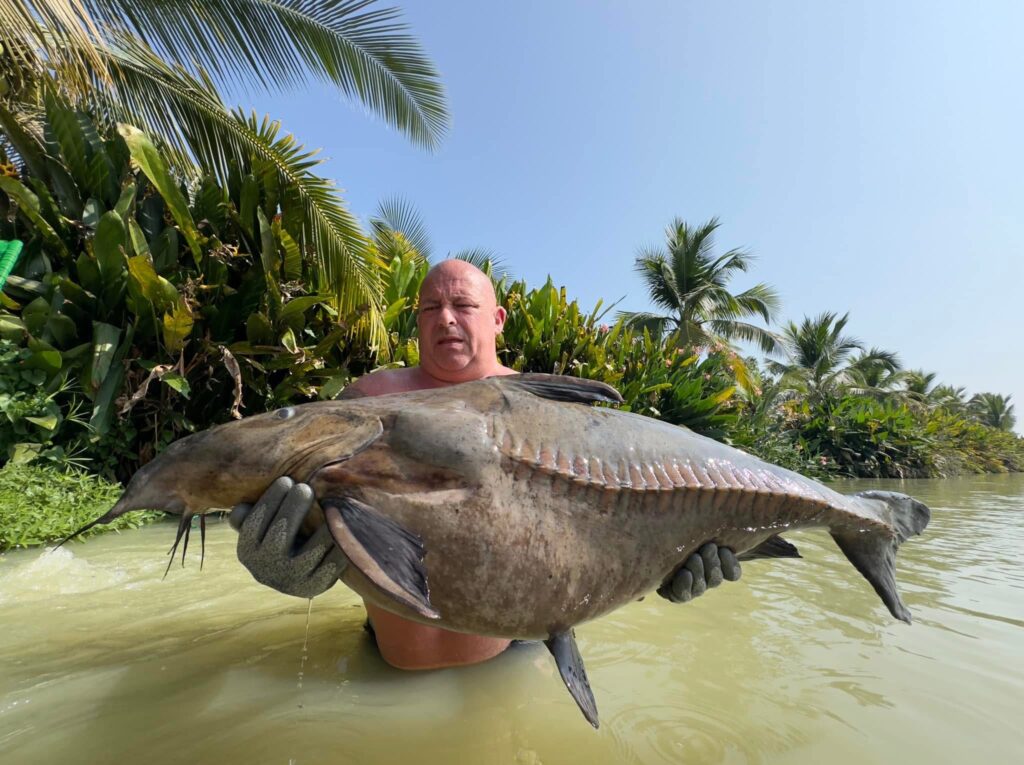 Ripsaw Catfish fishing thailand