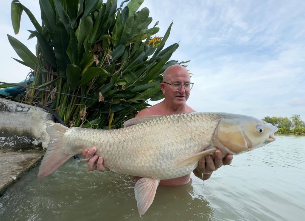 asian grass carp thailand 1