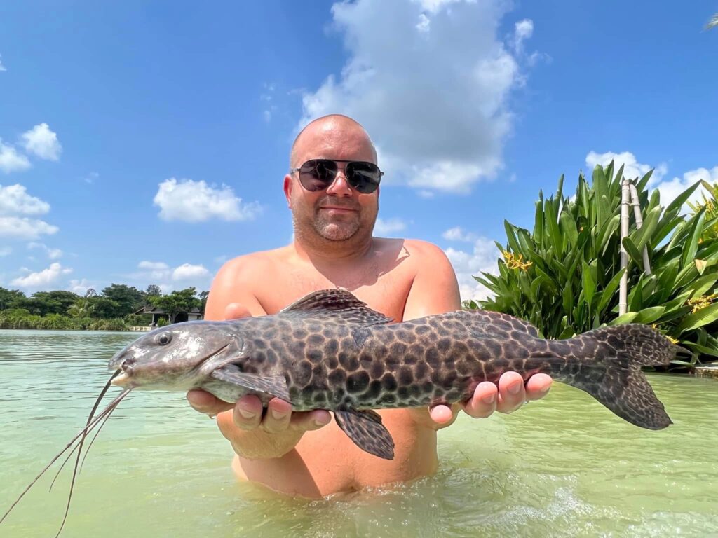 marble catfish